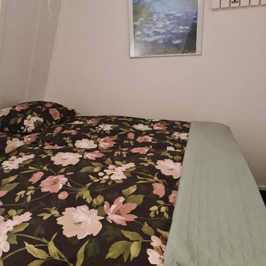 B&B Landlust Guesthouse 皮尔默伦德 外观 照片