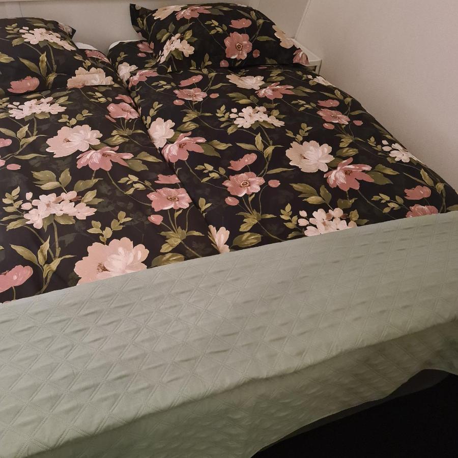 B&B Landlust Guesthouse 皮尔默伦德 外观 照片